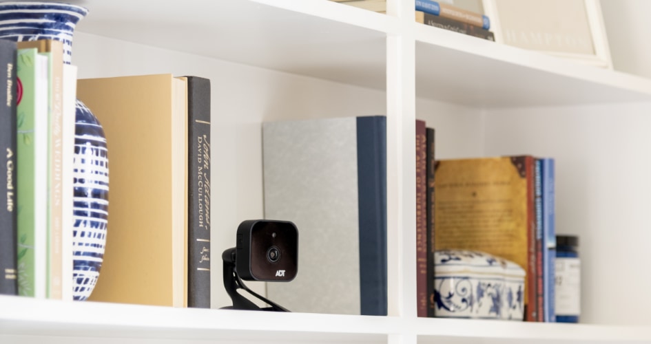 adt Indoor security cameras in Johnson City